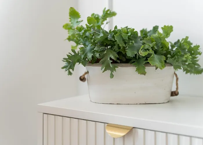 Margi Ariela Lux 17th Floor Pool Sauna アパート *